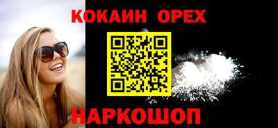 сатива Новозыбков
