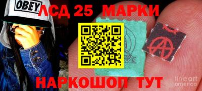 сатива Новозыбков
