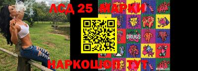 сатива Новозыбков
