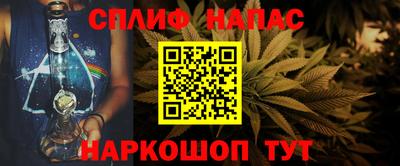 сатива Новозыбков