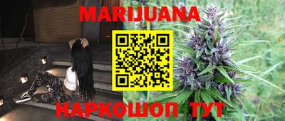 сатива Новозыбков