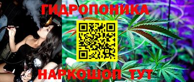 сатива Новозыбков