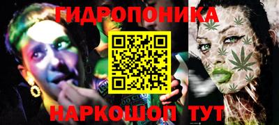 сатива Новозыбков