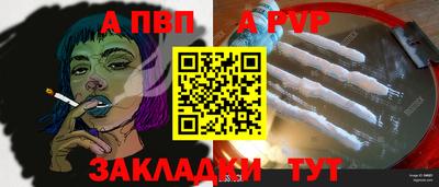 сатива Новозыбков
