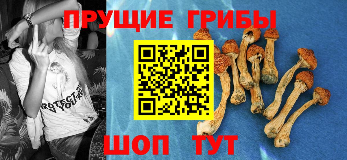 Псилоцибиновые грибы ЛСД  Псилоцибиновые грибы MAGIC MUSHROOMS  Вход с VPN  Ступино 